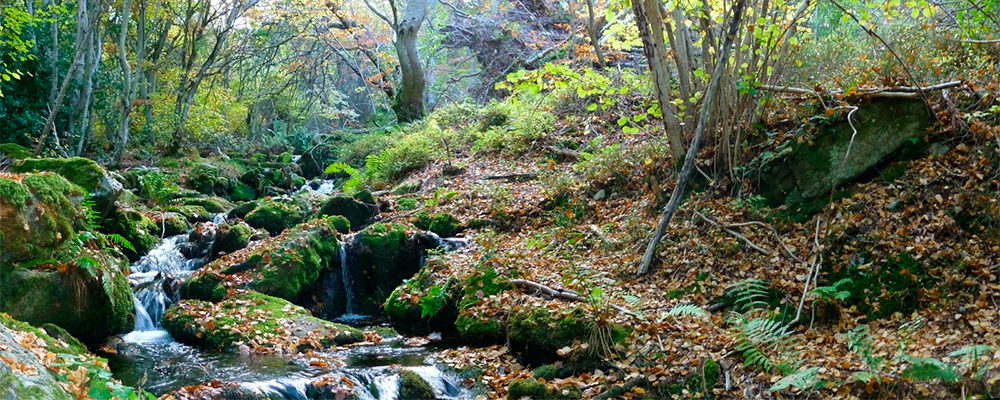 Turismo-Moncayo